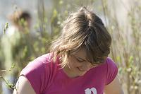 paljasaare_teeme2008 035